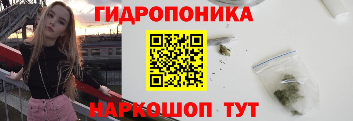 Каннабис план  Конопля ГИДРОПОН  Вход с VPN  Бошки марихуана семена  Ханты-Мансийск 